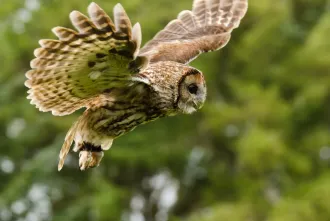 Nacht in de vallei van de Aisne in de Ardennen img