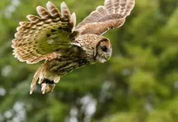 Nacht in de vallei van de Aisne in de Ardennen img