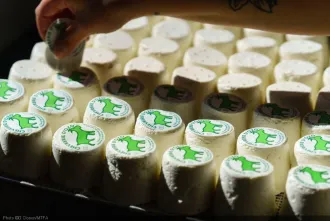 Fromagerie d’Ozo img