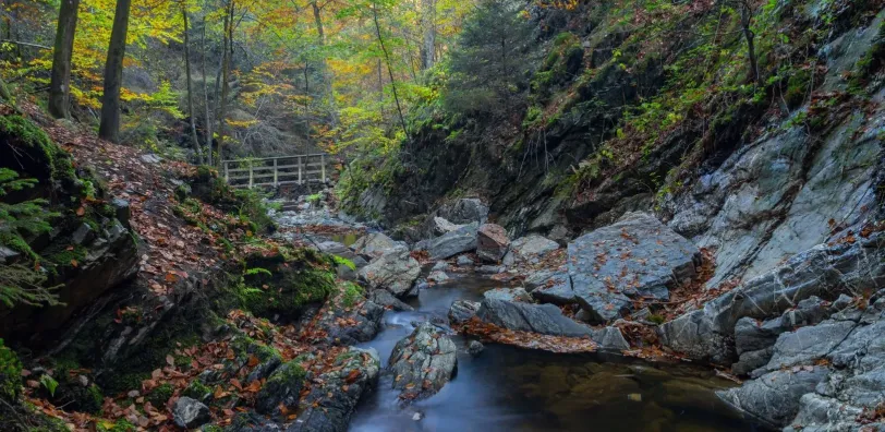 Wandelen langs de Ninglinspo - Image