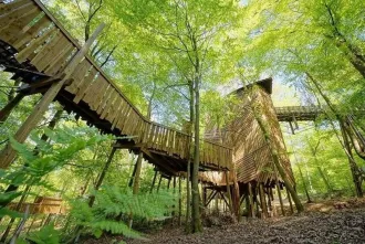Parc Chlorophylle midden in het Ardense bos img