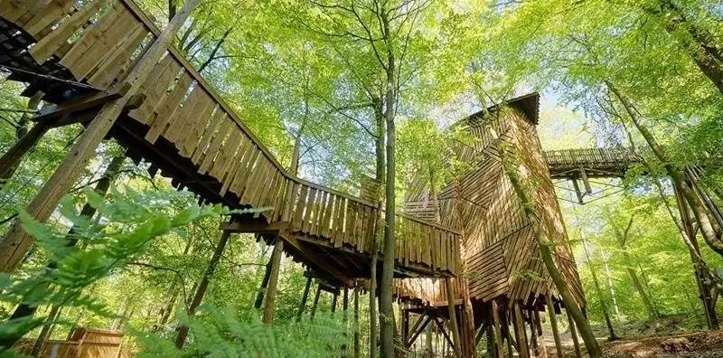 Parc Chlorophylle midden in het Ardense bos - Image