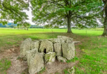 Wèris en de megalieten img